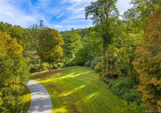 a view of a yard with a tree
