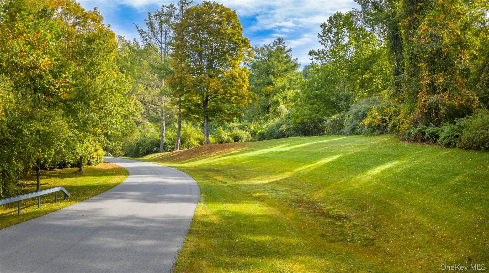 Lot 25 Brady Brook Farm Road Pawling, NY 12564 - Photo 8 of 11 a view of a swimming pool with a yard