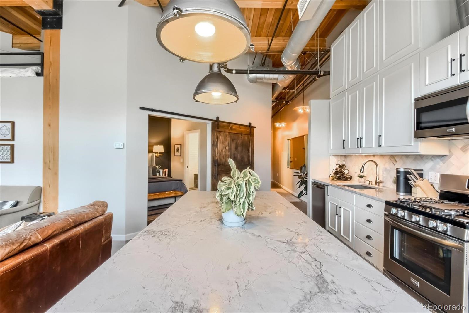 2955 Inca Street, Unit 2B Denver, CO 80202 - Photo 6 of 25 Gallery Image 6