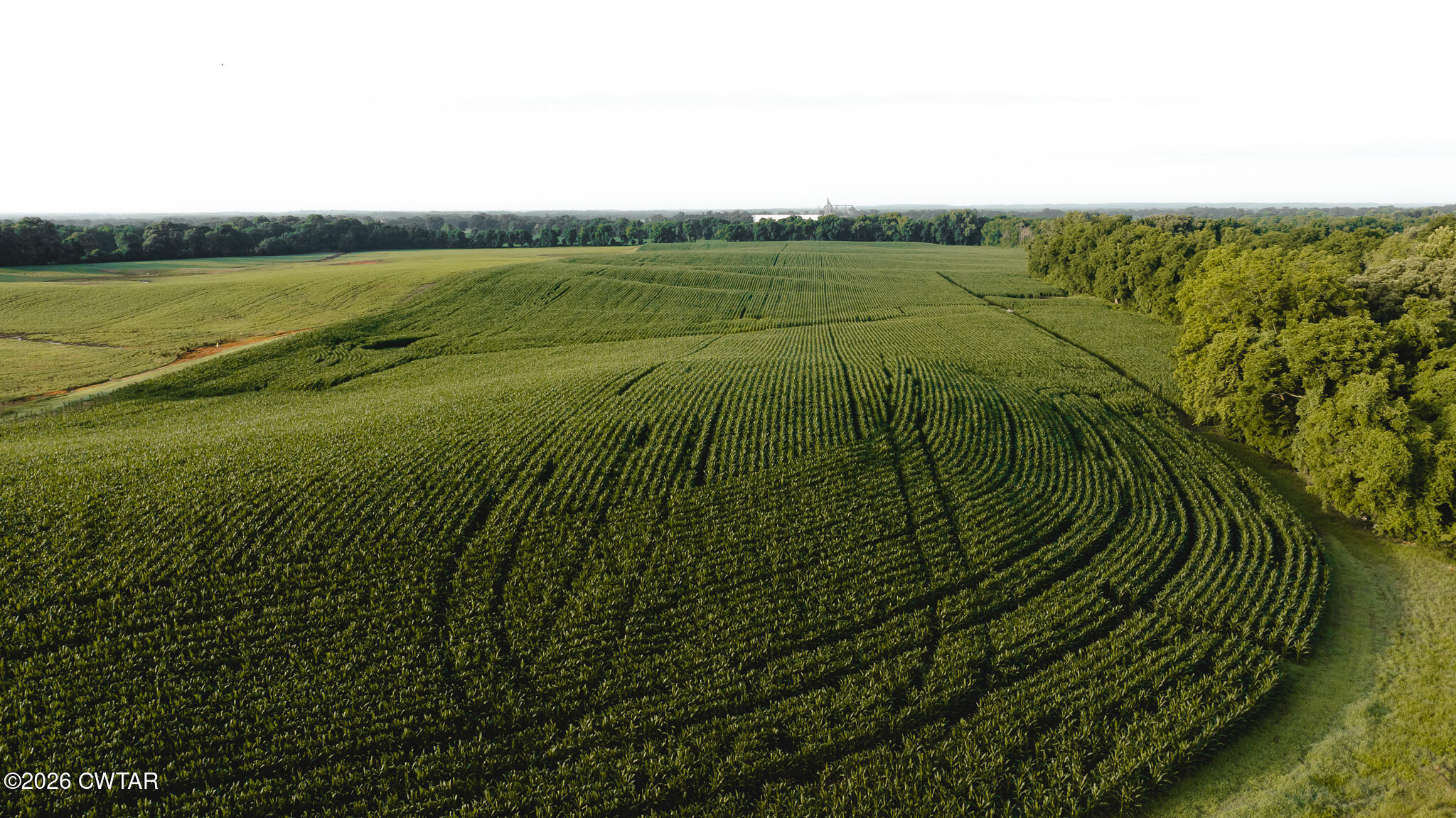 0 Jack Tate Road Obion, TN 38240 - Photo 9 of 23 DJI_20260531141222_0093_D