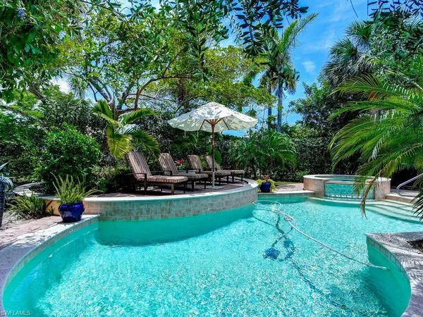 a view of a swimming pool with chairs and plants