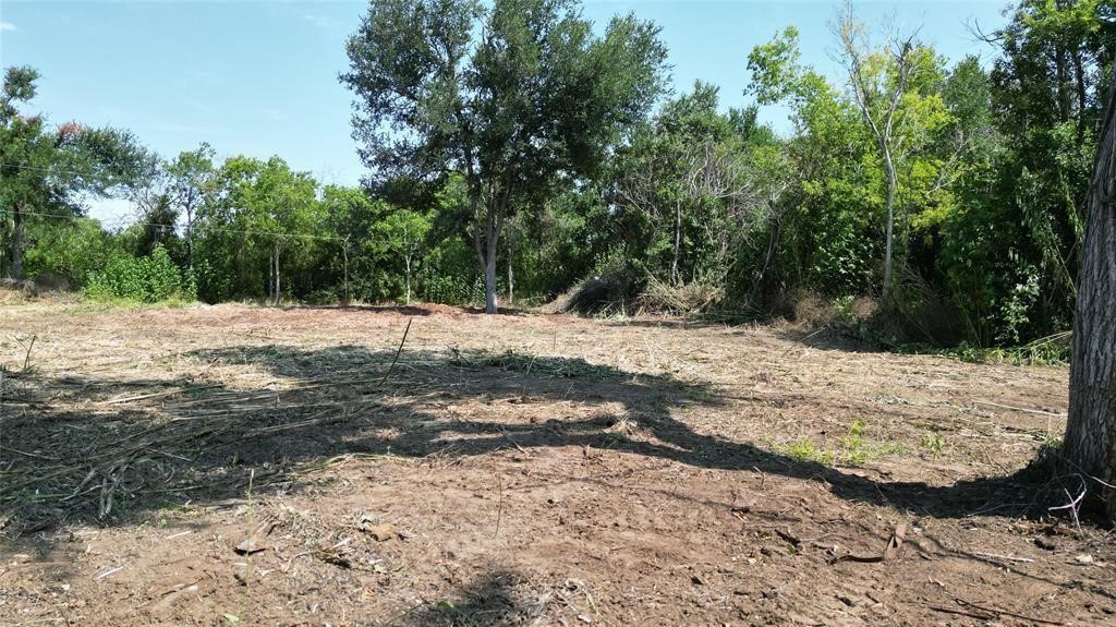 Tbd Arthur Street Elgin, TX 78621 - Photo 14 of 15 a view of a yard with trees