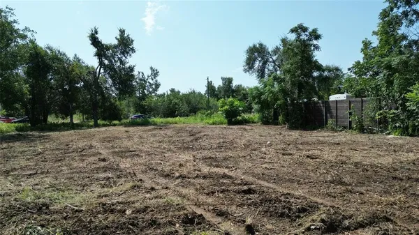 a view of a backyard with large trees