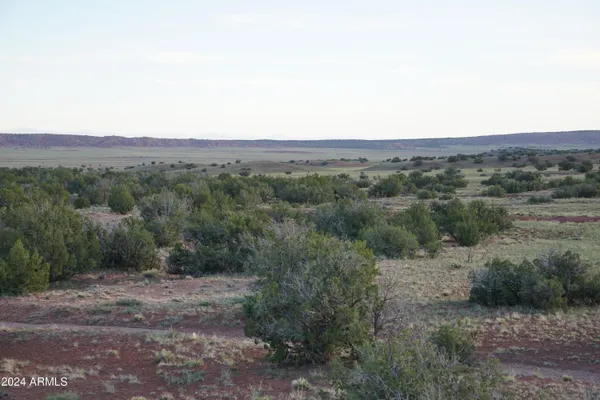 $32,500 | 45 & 53 Woodland Valley Ranch, Unit 45, St. Johns, AZ 85936