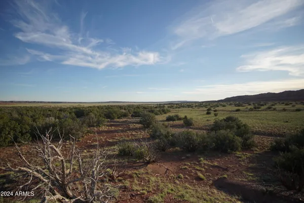 $32,500 | 45 & 53 Woodland Valley Ranch, Unit 45, St. Johns, AZ 85936