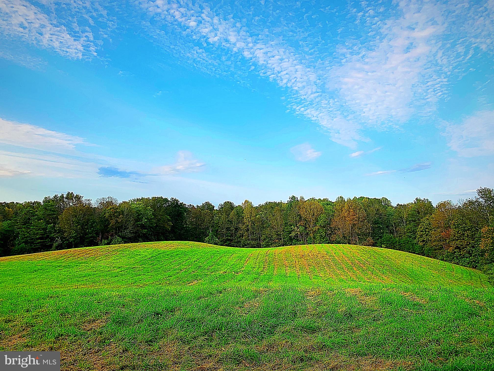 10134 Conde Road Marshall, VA 20115 - Photo 39 of 75