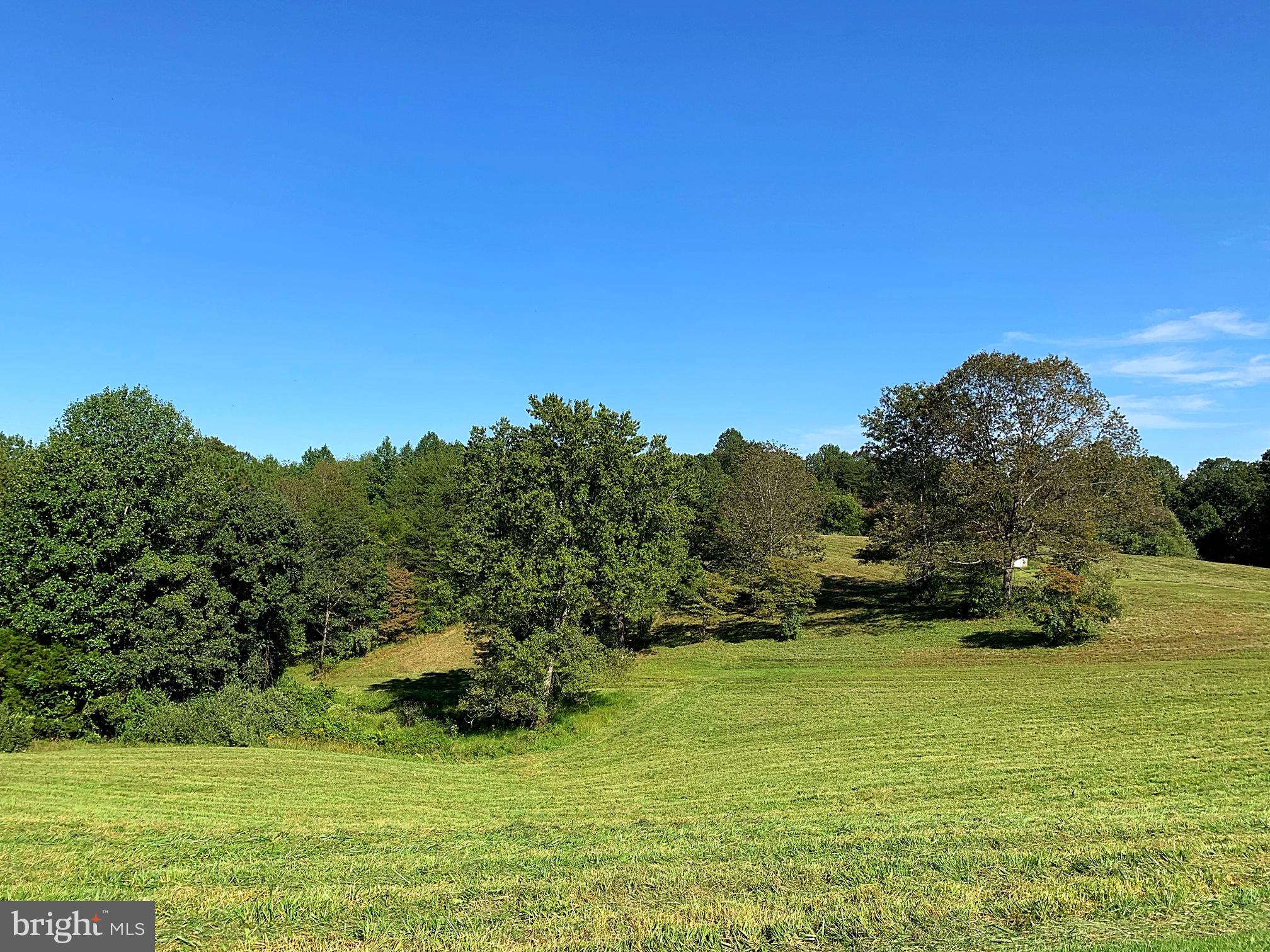 10134 Conde Road Marshall, VA 20115 - Photo 40 of 75