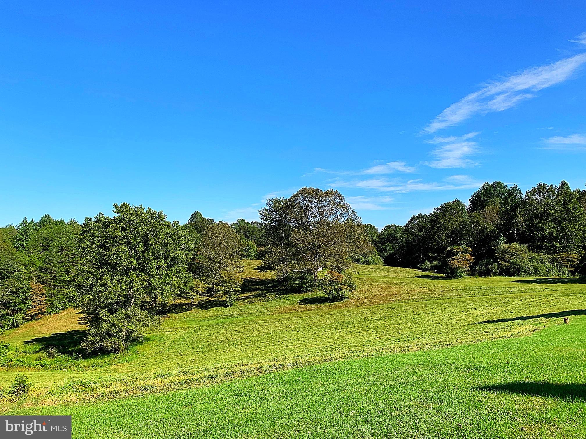 10134 Conde Road Marshall, VA 20115 - Photo 41 of 75