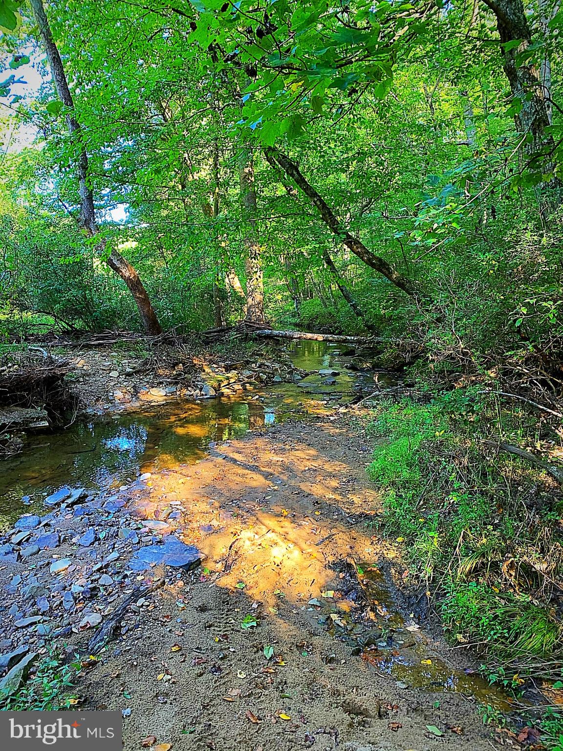 10134 Conde Road Marshall, VA 20115 - Photo 44 of 75