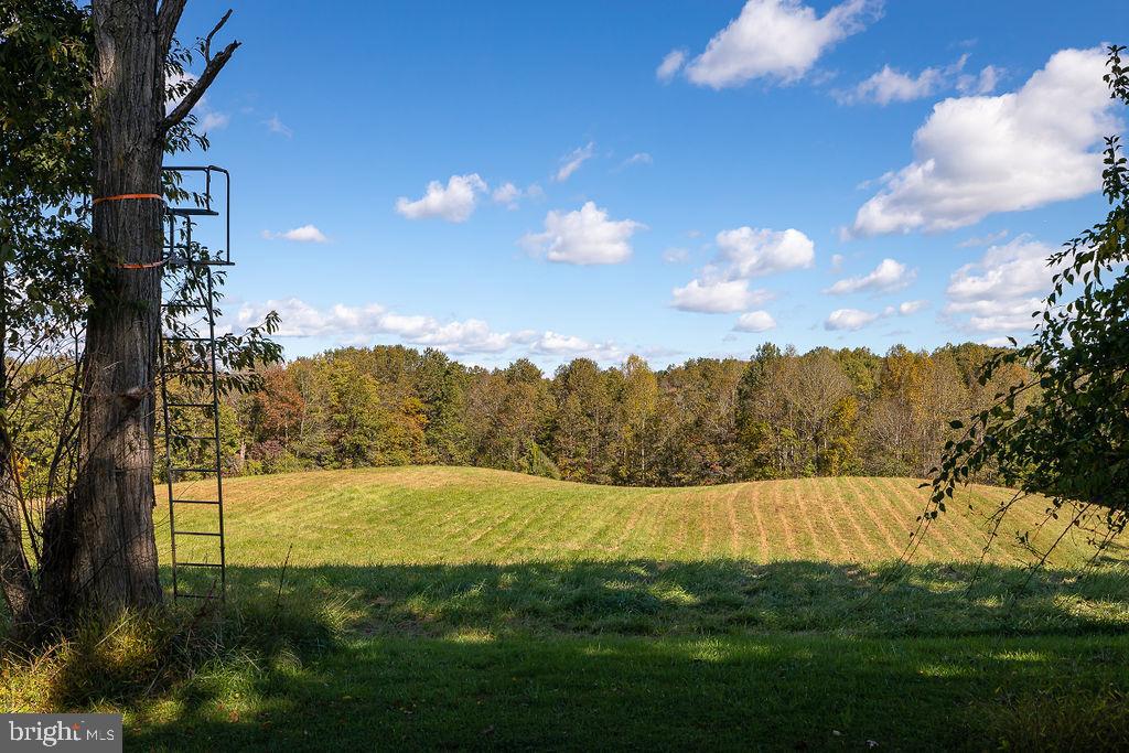 10134 Conde Road Marshall, VA 20115 - Photo 45 of 75
