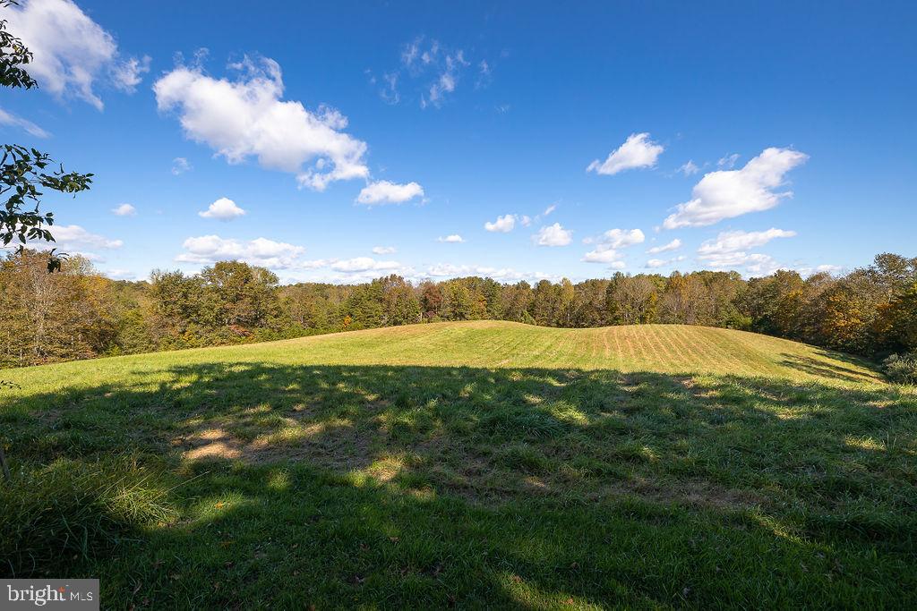 10134 Conde Road Marshall, VA 20115 - Photo 46 of 75