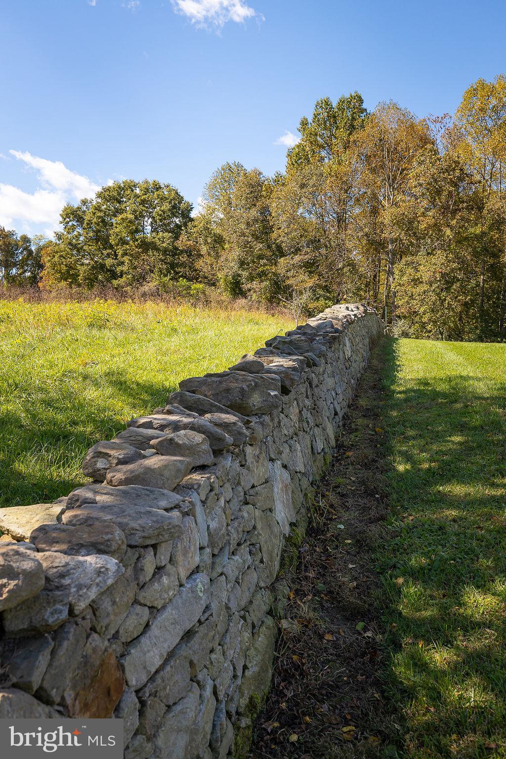 10134 Conde Road Marshall, VA 20115 - Photo 47 of 75
