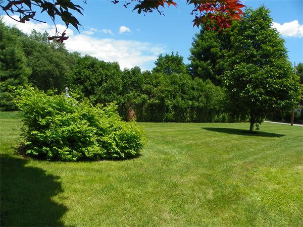 16 Westdale Road Canton, MA 02021 - Photo 10 of 13 Gallery Image 10