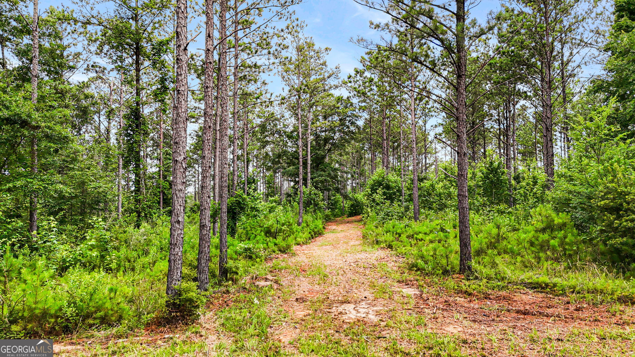 0 Howard Road Roberta, GA 31078 - Photo 10 of 14