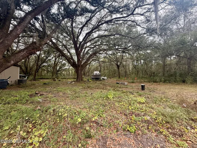 a view of yard with tree