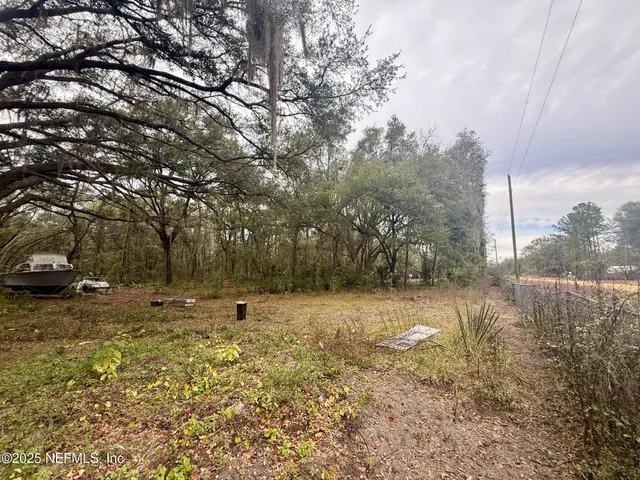a view of a park with large trees