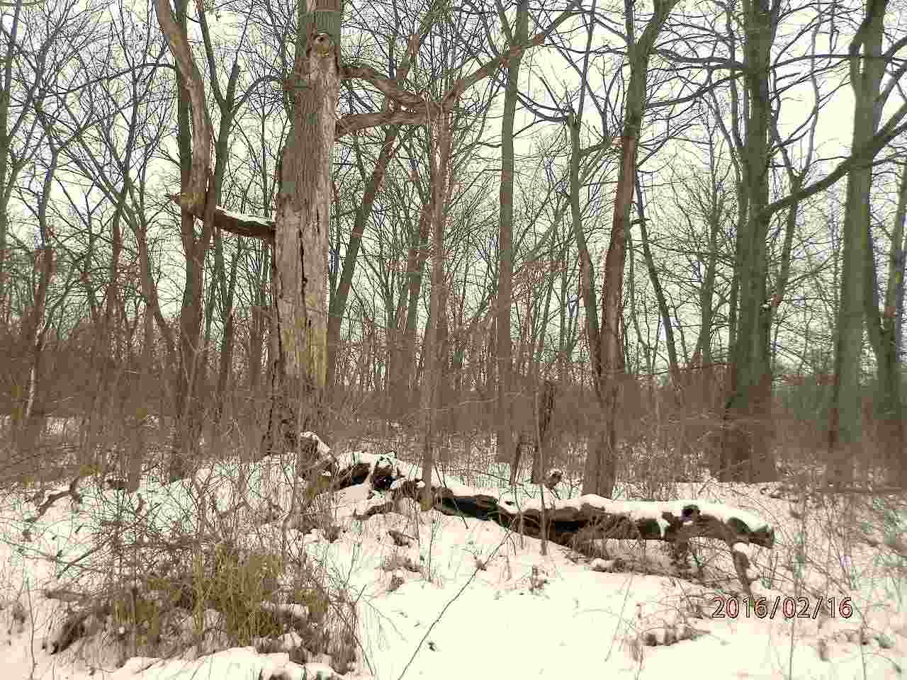 0 1050 E Howe, IN 46746 - Photo 8 of 35 Gallery Image 8