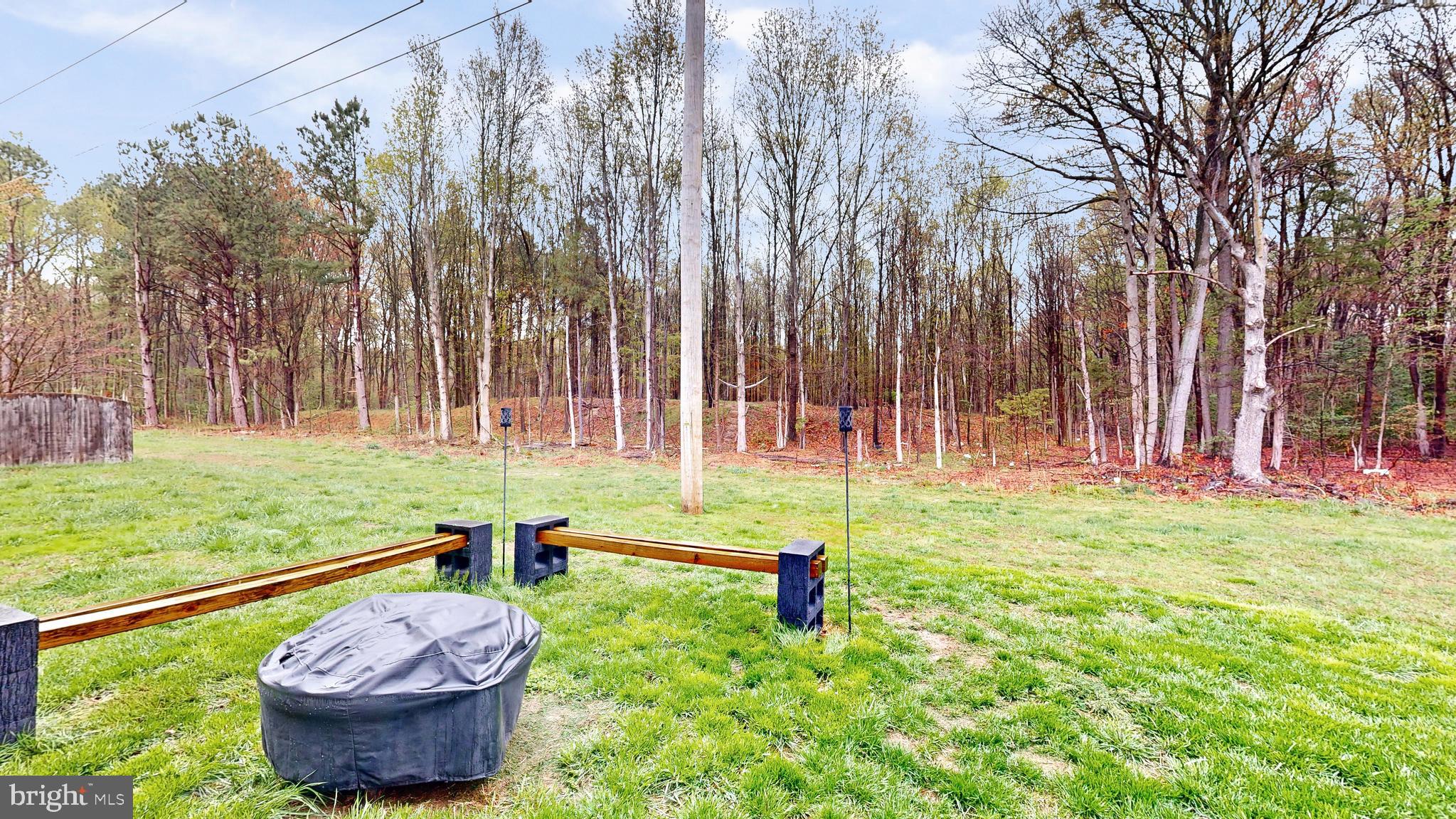 433 East Wind Drive Dover, DE 19901 - Photo 53 of 61 a view of a backyard with potted plants and large trees