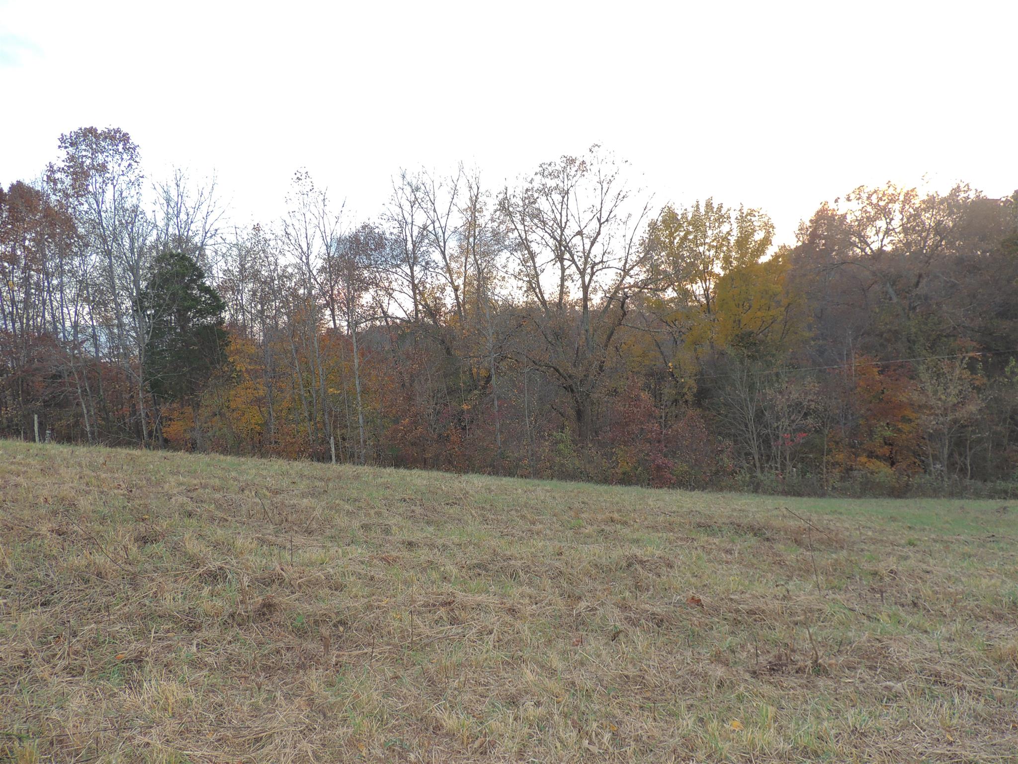 925 West Dry Hollow Road Dickson, TN 37055 - Photo 11 of 21 Gallery Image 11