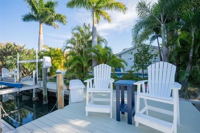 a view of a chair with potted plants and palm trees
