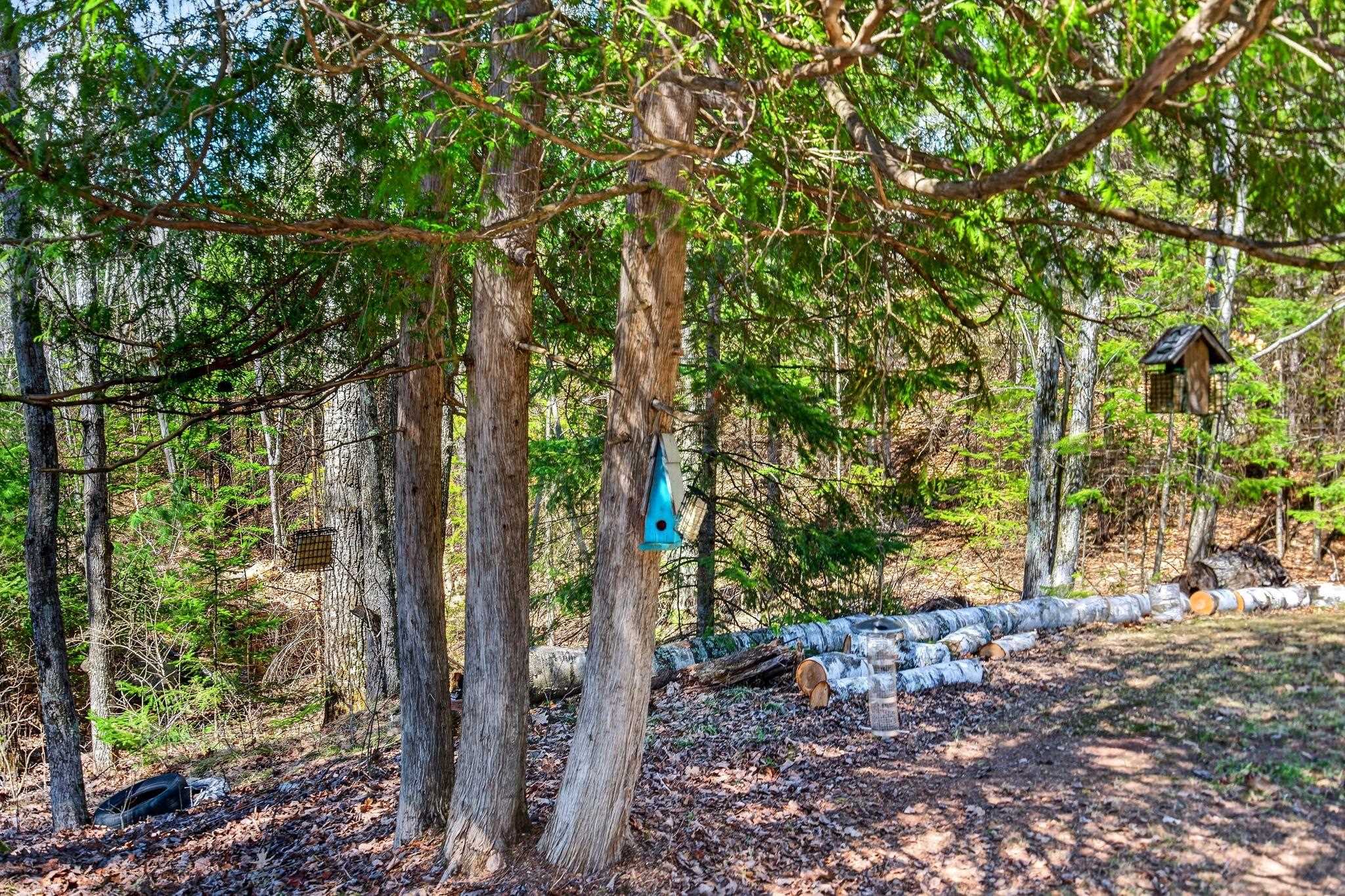 16503 Thelen Road Mountain, WI 54149 - Photo 57 of 81