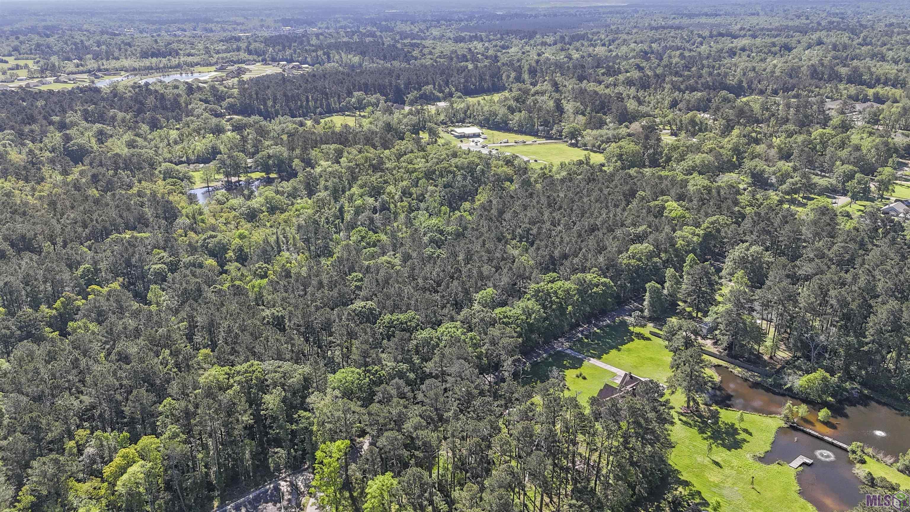 Tbd Avants Road Walker, LA 70785 - Photo 1 of 9 Gallery Image 1