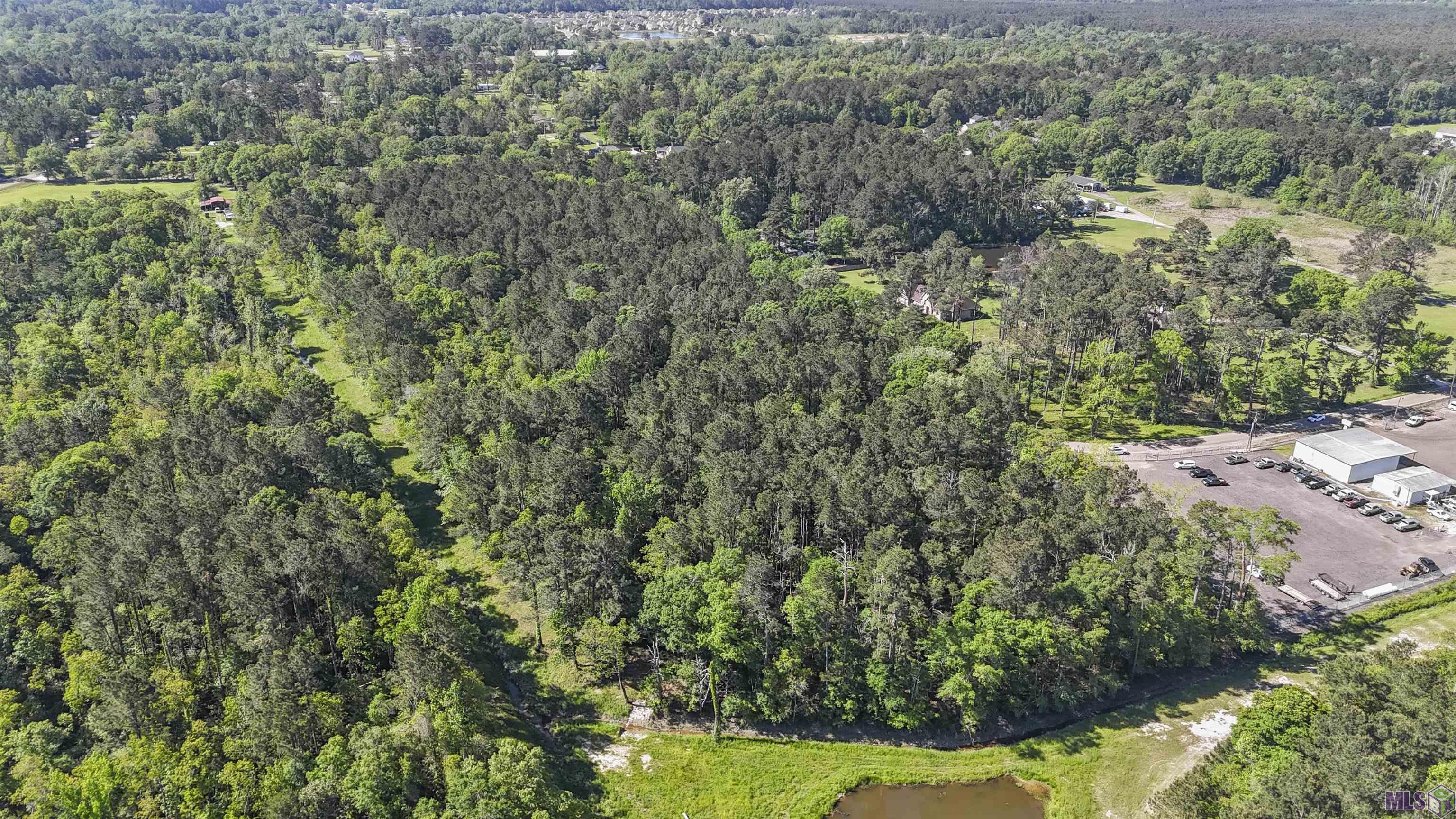 Tbd Avants Road Walker, LA 70785 - Photo 8 of 9 Gallery Image 8