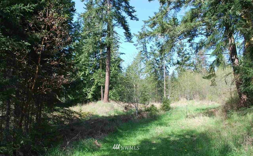 0 Springwater Lane Sequim, WA 98382 - Photo 4 of 8 Gallery Image 4