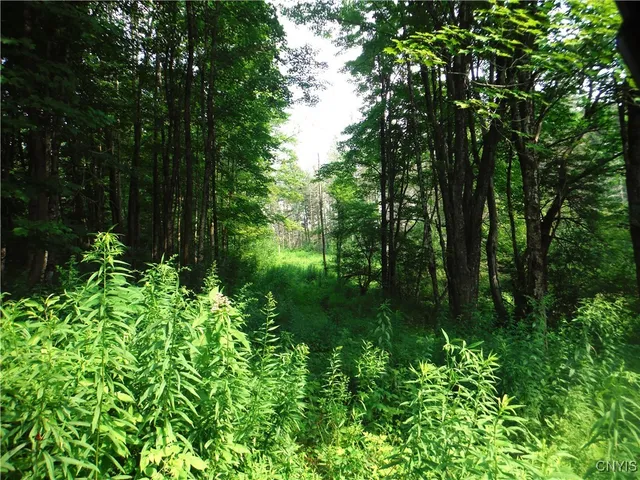 $209,000 | 5500 Crofoot Hill Road, West Turin, NY 13325