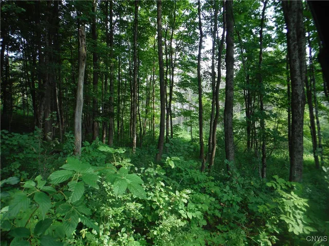 $209,000 | 5500 Crofoot Hill Road, West Turin, NY 13325