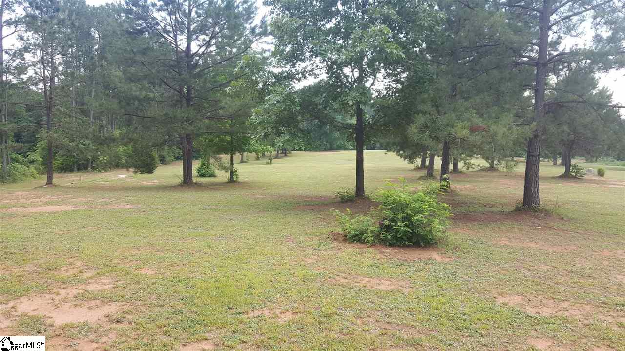 3.81-acres Terry Shop Road Fountain Inn, SC 29644 - Photo 4 of 10