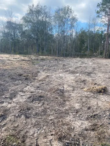 $27,500 | 0 Railroad Avenue, Shepherd, TX 77371