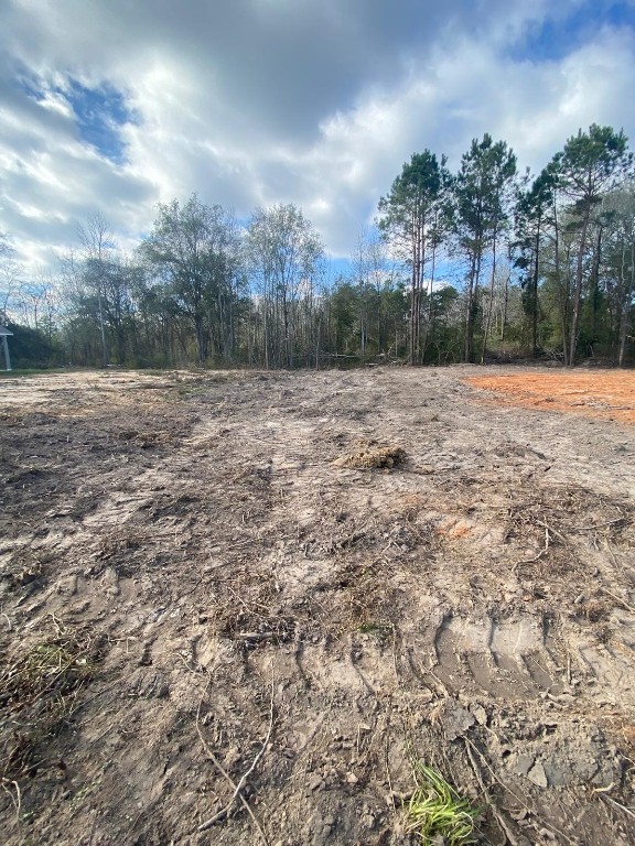 0 Railroad Avenue Shepherd, TX 77371 - Photo 2 of 10 a view of outdoor space and trees