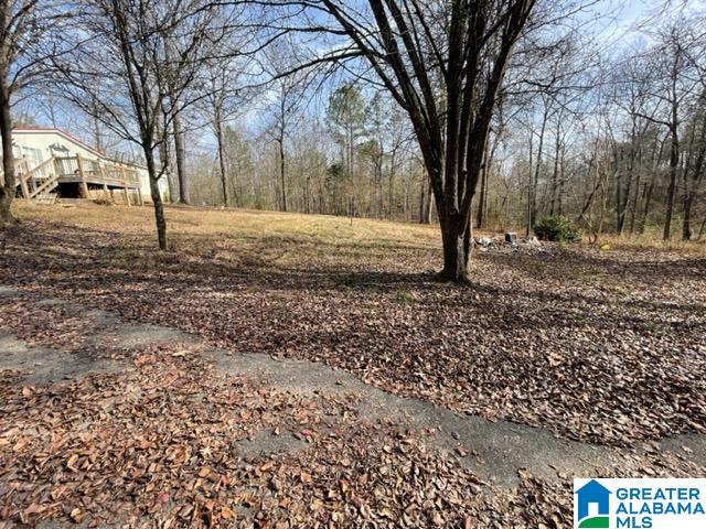 2055 Sprayberry Road Pell City, AL 35125 - Photo 9 of 11