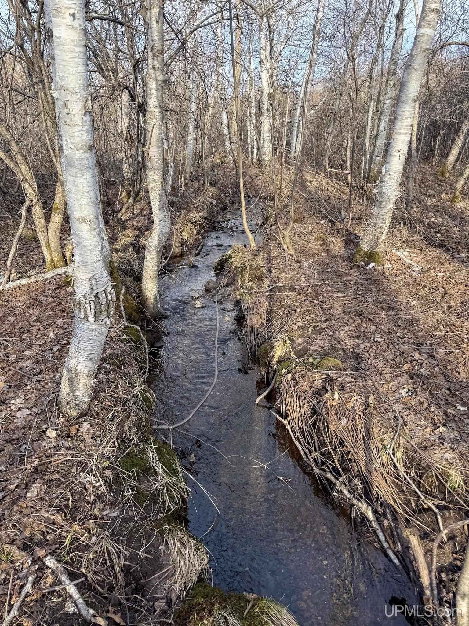 Lot D Mohawk Gay Road Mohawk, MI 49950 - Photo 2 of 18