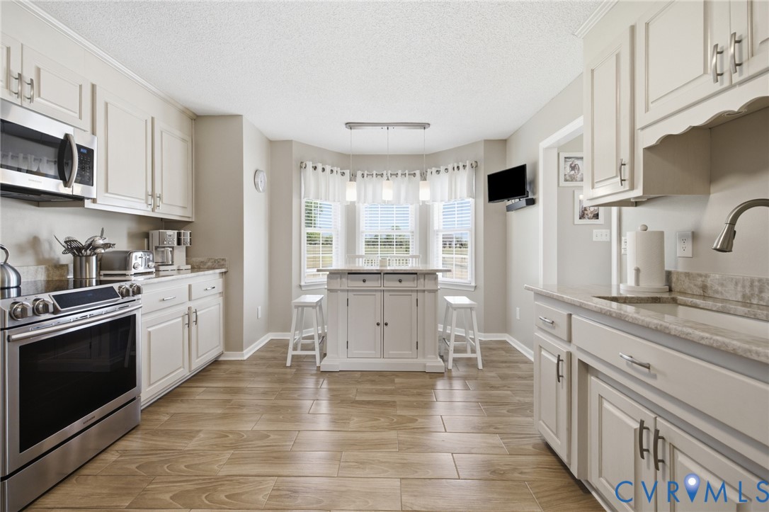 15300 Lebanon Road Spring Grove, VA 23881 - Photo 10 of 41 Recently remodeled kitchen showing the floors, whi