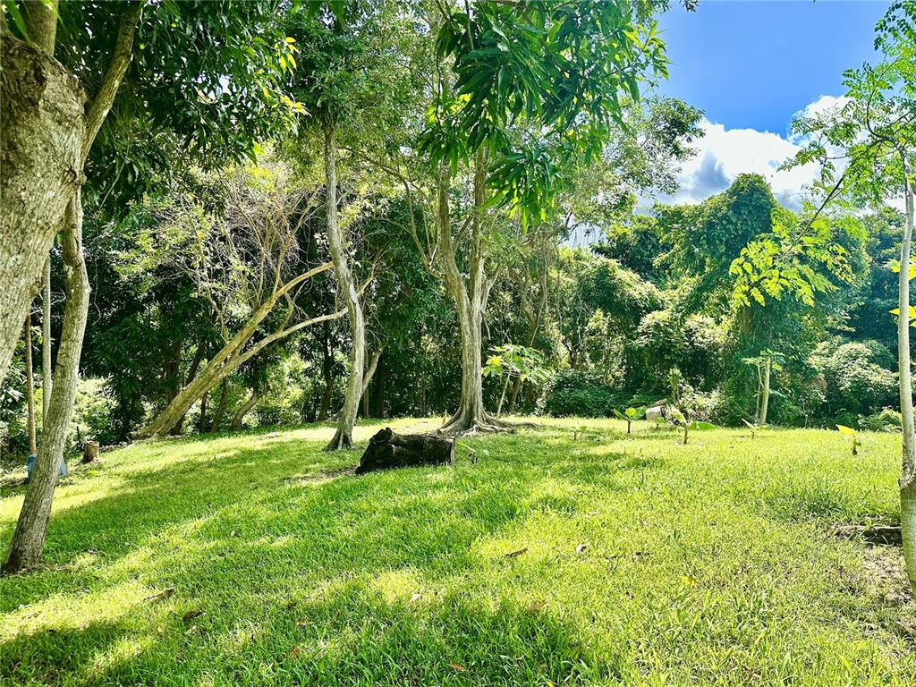 8 Calle 8 Final Rio Grande, PR 00745 - Photo 8 of 27