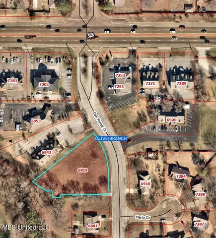 $250,000 | 6919 Oak Forest Drive, Olive Branch, MS 38654