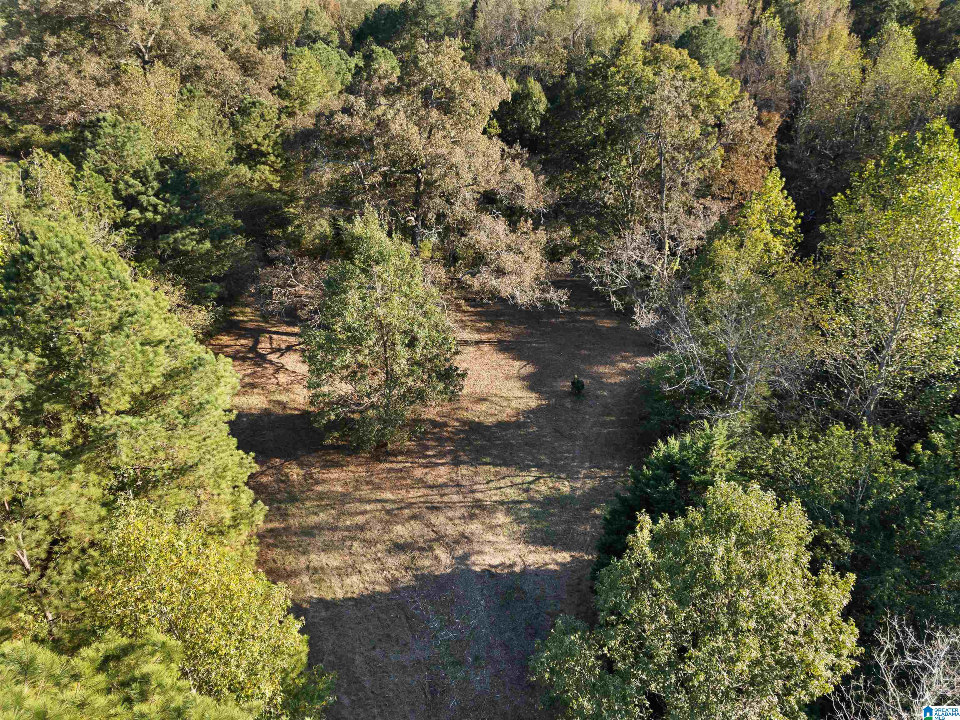 550 Hale Creek Road Altoona, AL 35952 - Photo 45 of 54