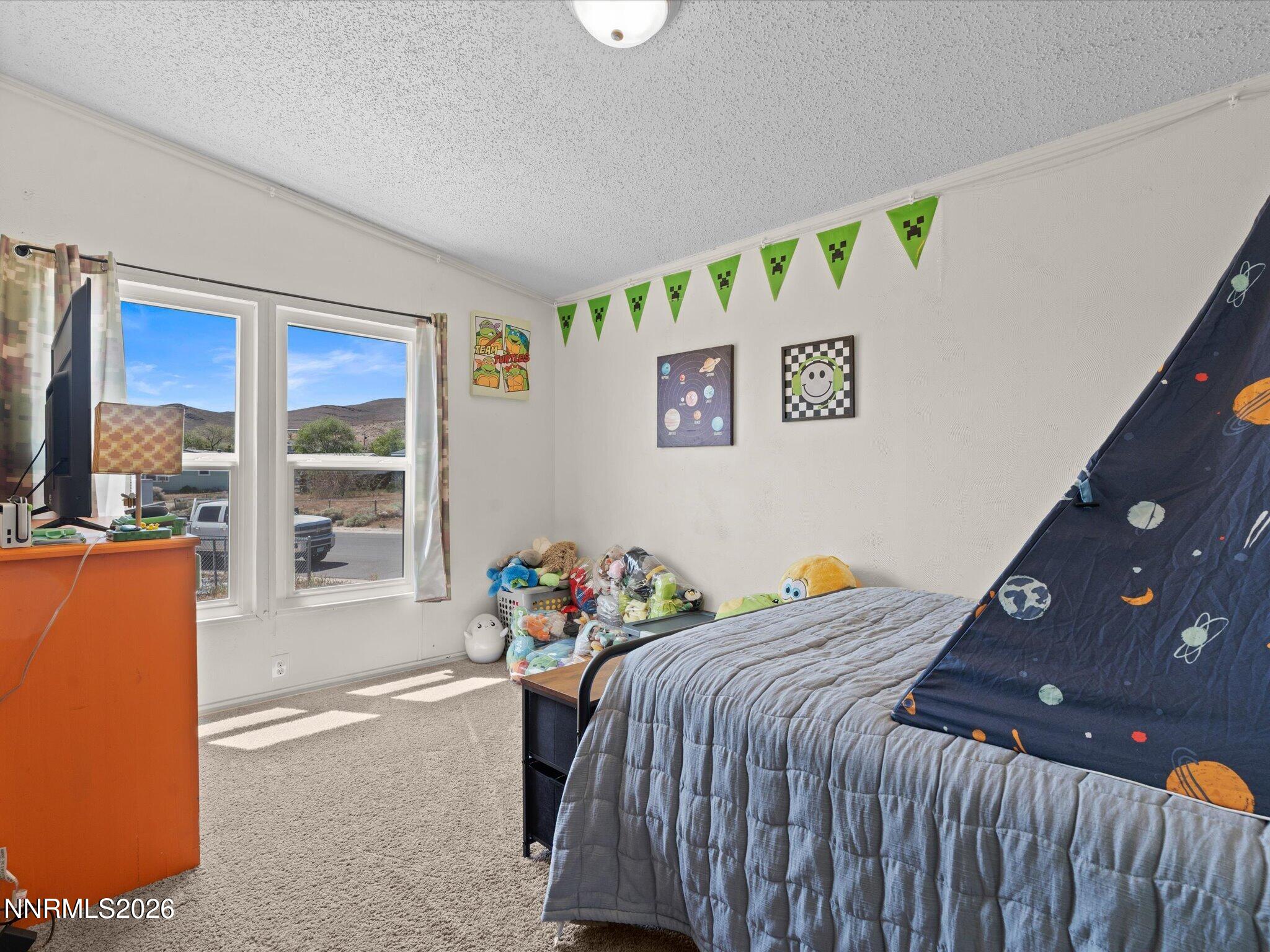 95 Rose Peak Road Dayton, NV 89403 - Photo 23 of 34 24-95 Rose Peak Rd-123