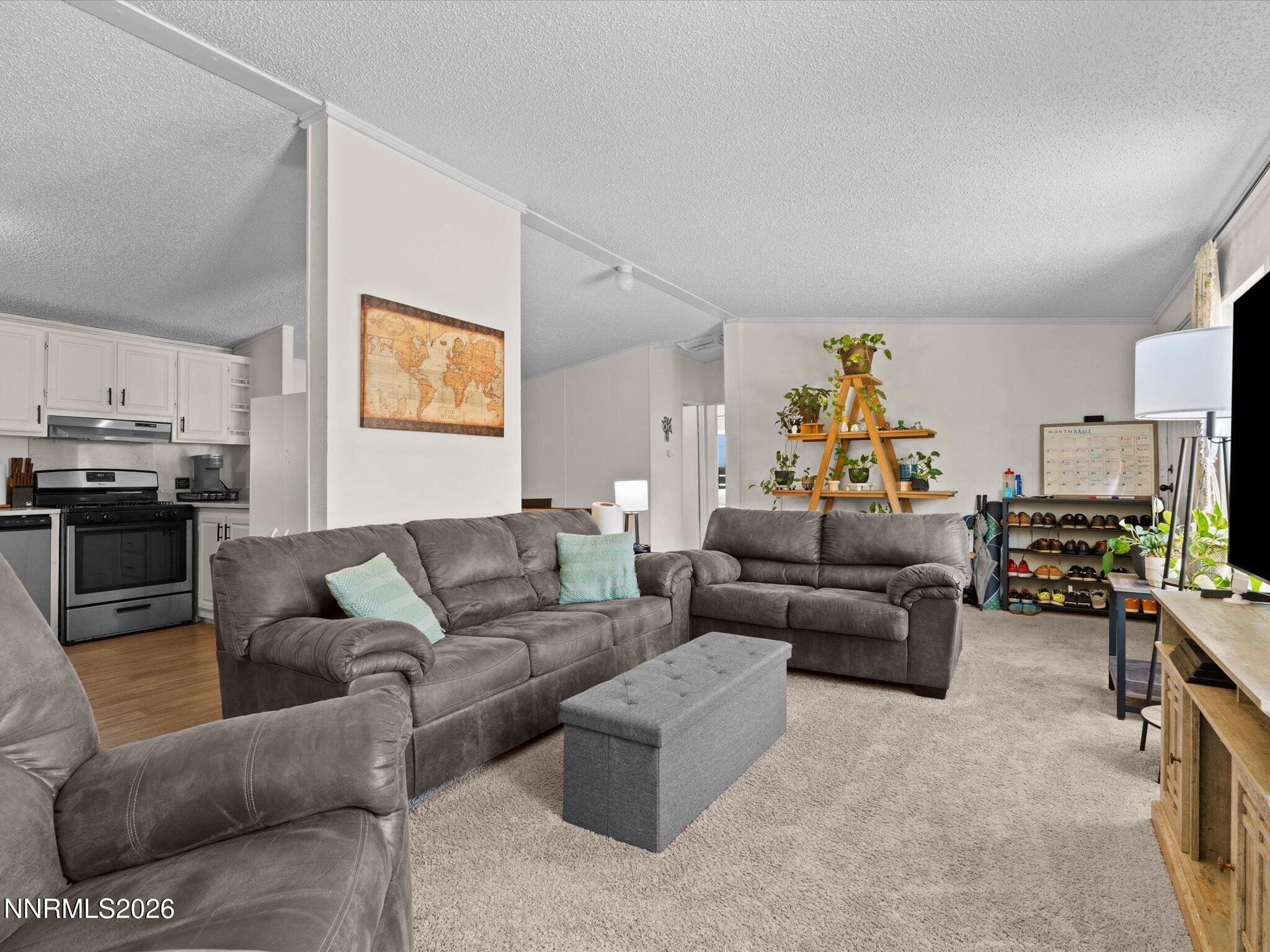 95 Rose Peak Road Dayton, NV 89403 - Photo 10 of 34 08-95 Rose Peak Rd-107
