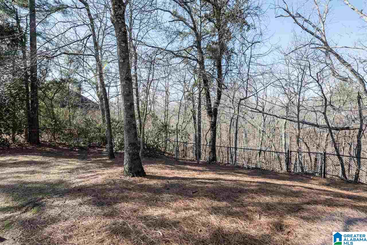 123 High Hampton Drive Pelham, AL 35124 - Photo 36 of 43