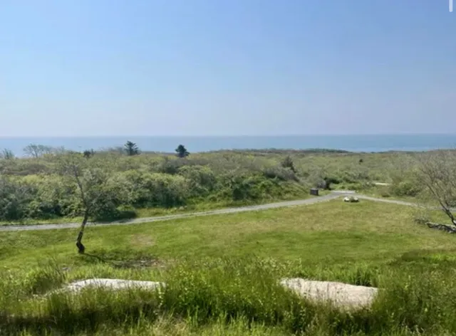 a view of a field with an trees