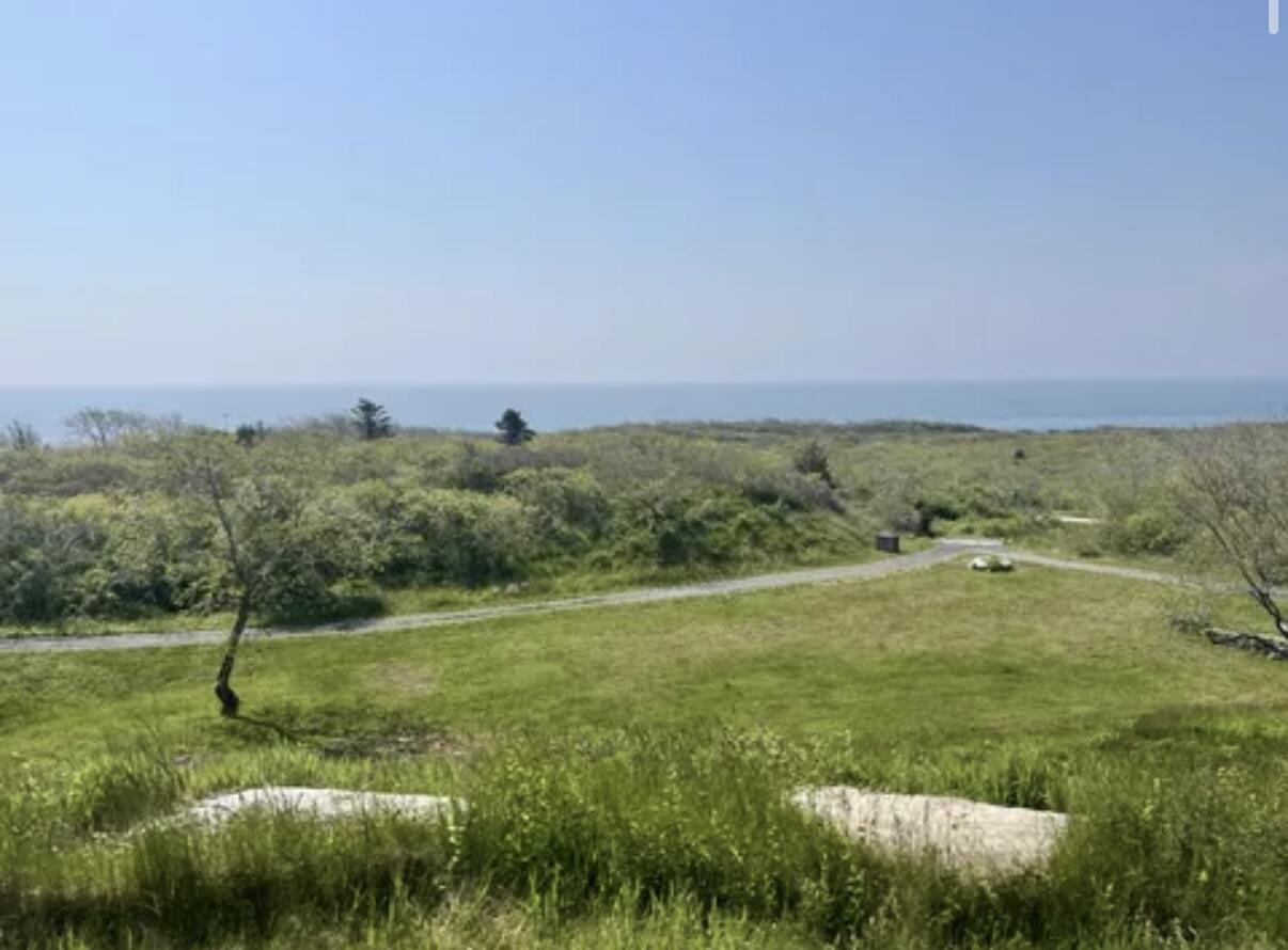 a view of a field with an trees