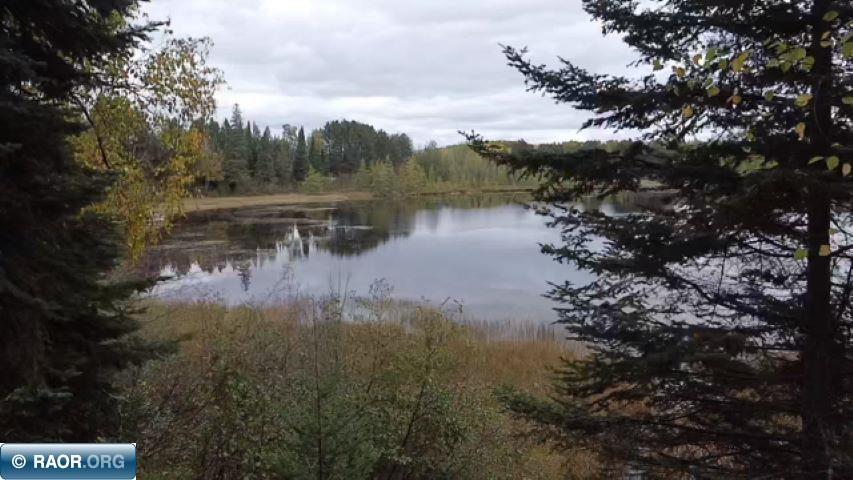 11973 Luna Lake Road Side Lake, MN 55781 - Photo 13 of 36