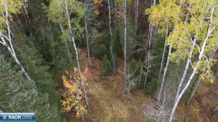 11973 Luna Lake Road Side Lake, MN 55781 - Photo 15 of 36