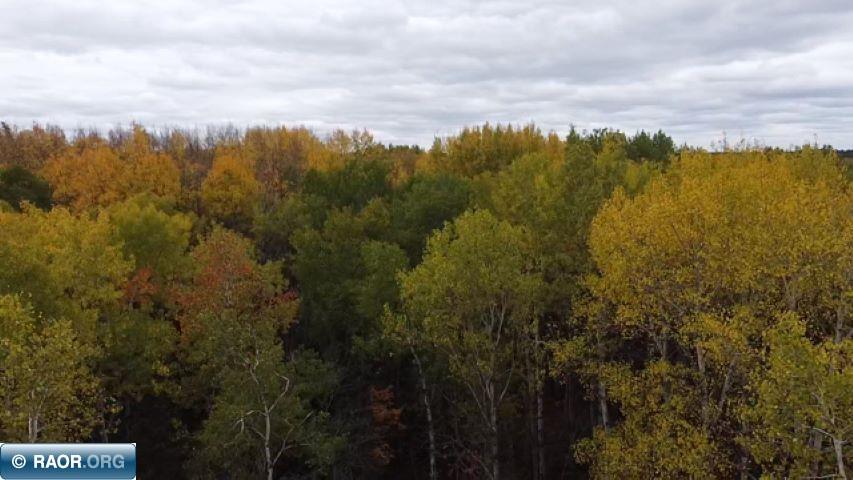 11973 Luna Lake Road Side Lake, MN 55781 - Photo 16 of 36