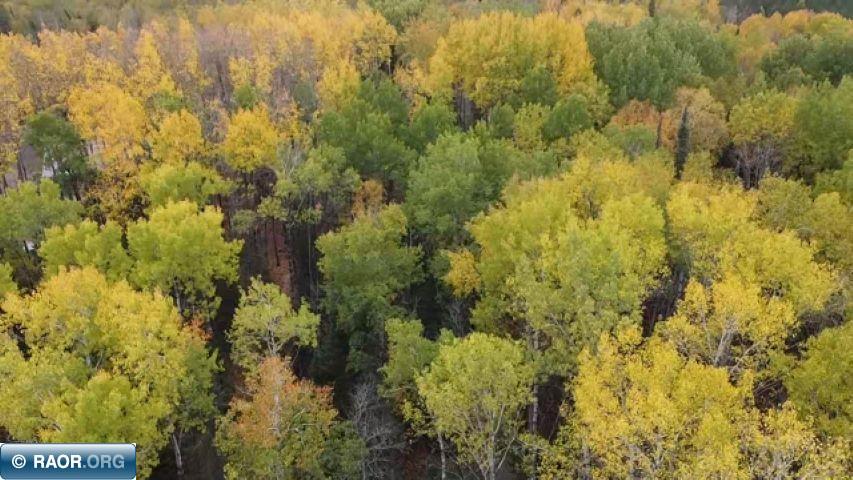 11973 Luna Lake Road Side Lake, MN 55781 - Photo 17 of 36