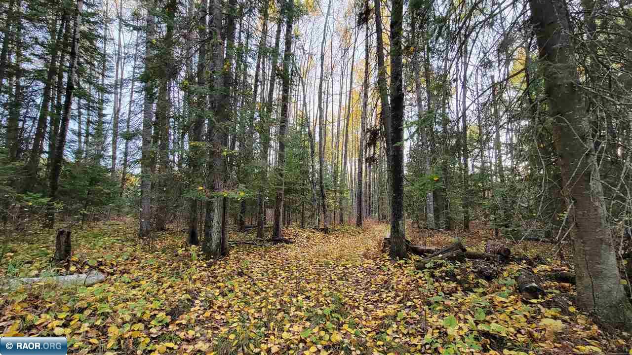 11973 Luna Lake Road Side Lake, MN 55781 - Photo 18 of 36