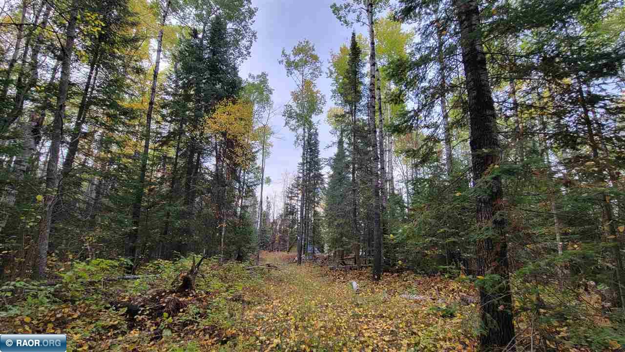 11973 Luna Lake Road Side Lake, MN 55781 - Photo 19 of 36